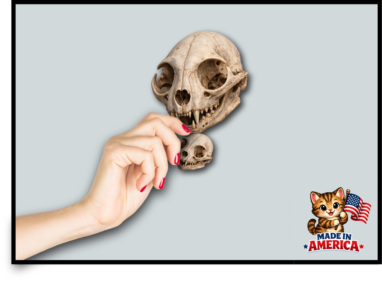 Cat Skull Decal Sticker Realistic Skeleton Bones Goth Oddities Feline Vet RVT
