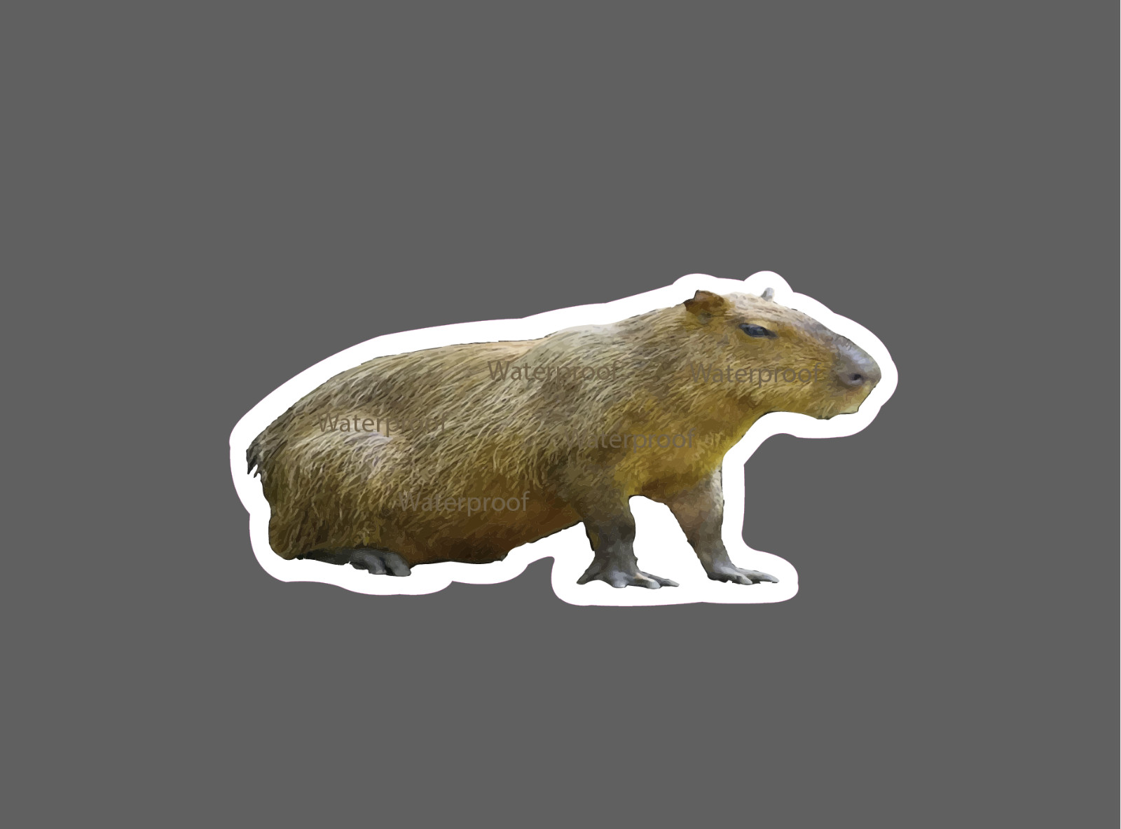 Capybara Sticker Animals Waterproof NEW – Buy Any 4 For $1.75 EACH Storewide!