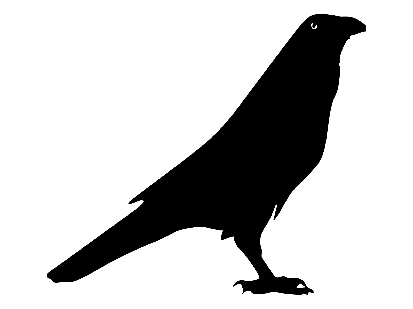 Crow Raven Black Bird Car Window Witch Sticker Halloween Bottle Vinyl Decal