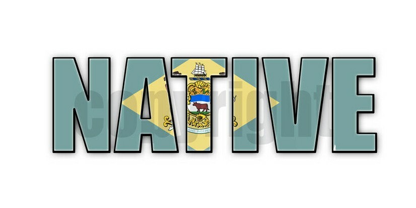 Delaware Native Flag Stickers Flag Decals Stickers