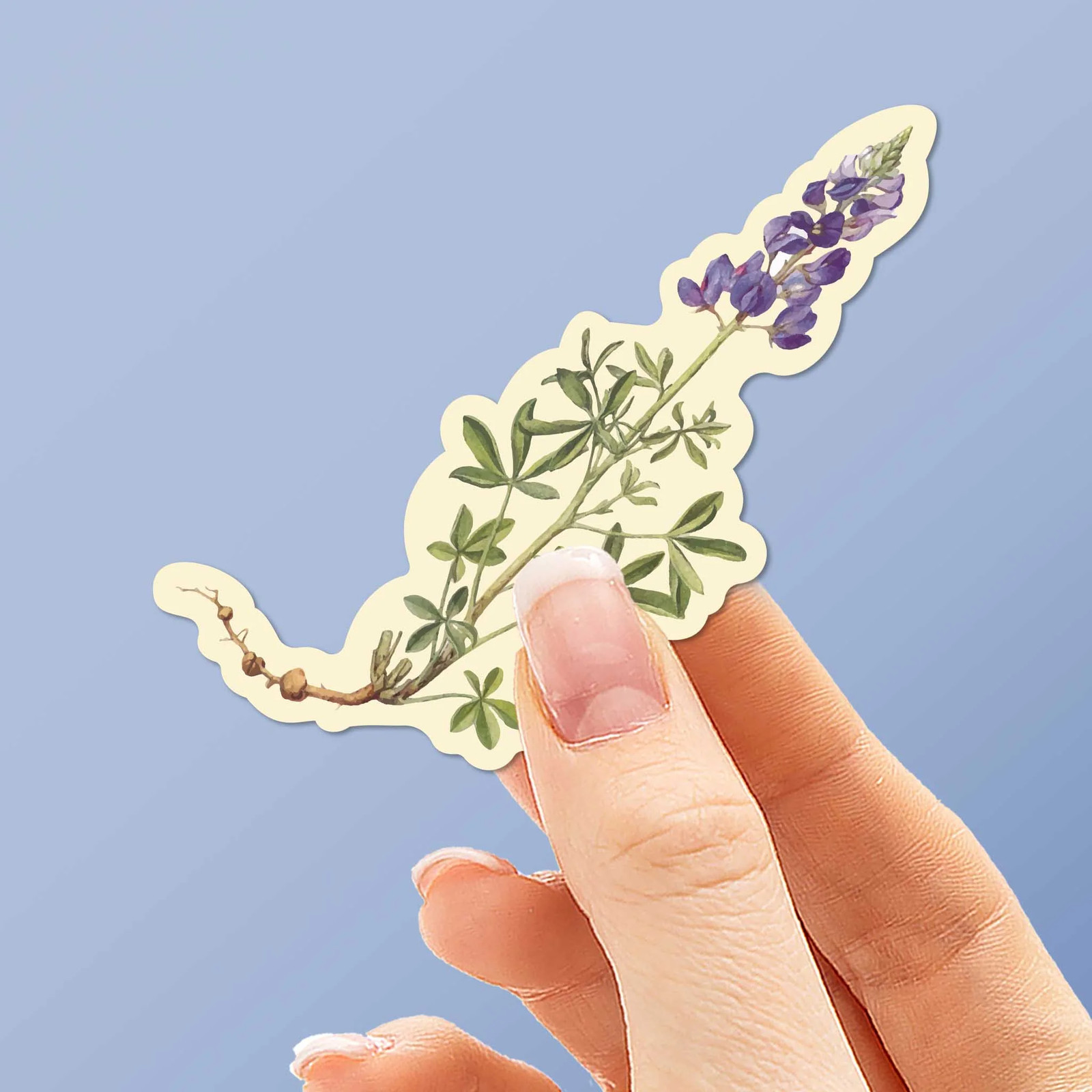 Mini Texas Bluebonnets Sticker – Cute TX Decals for Laptop & Water Bottle