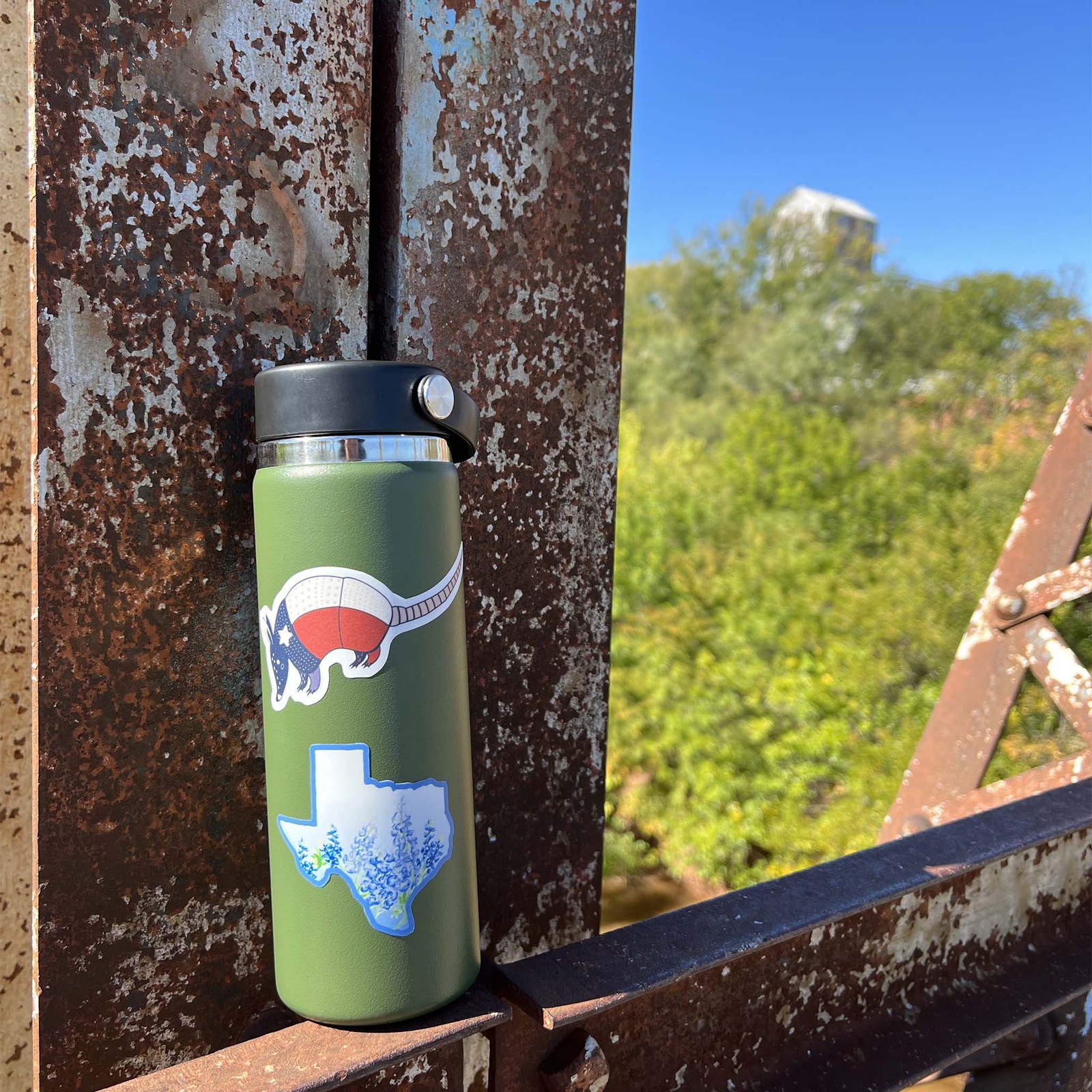 Texas Armadillo Sticker