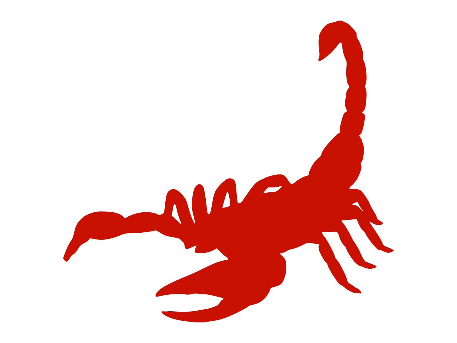 Scorpion Silhouette Scorpio Car Vinyl Decal Water Bottle Tumbler Vehicle Sticker
