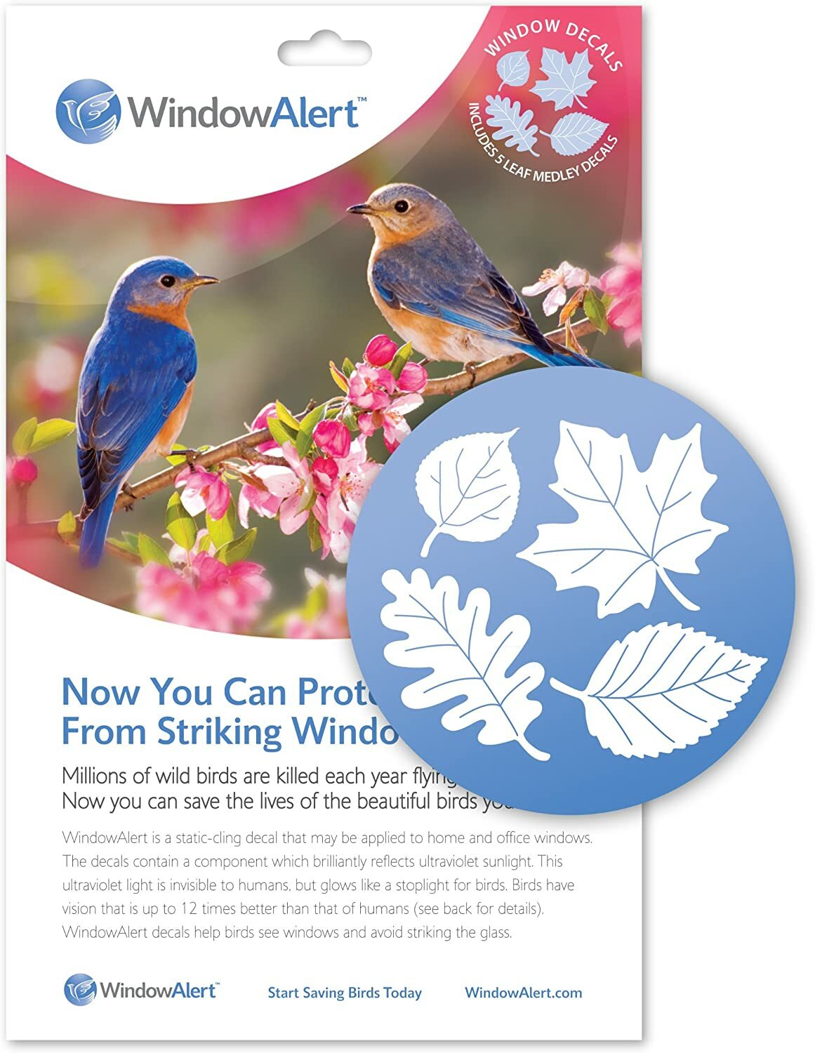 Stop Birds Hitting Windows