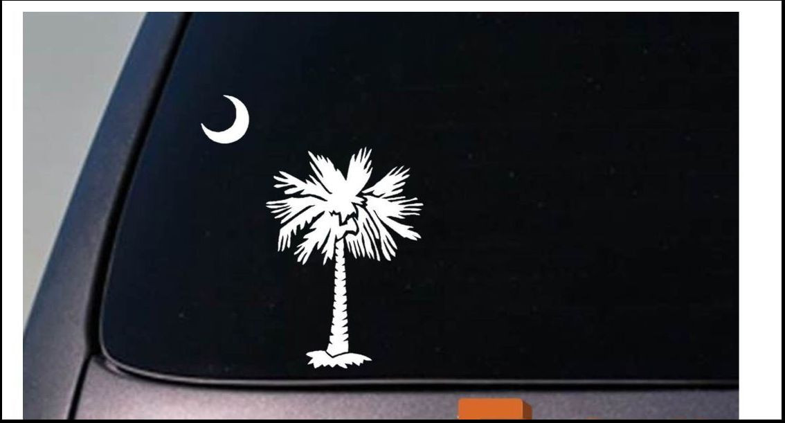 SOUTH CAROLINA 6.5" STICKER DECAL VINYL CAR TRUCK VAN LAPTOP WINDOW *D627*