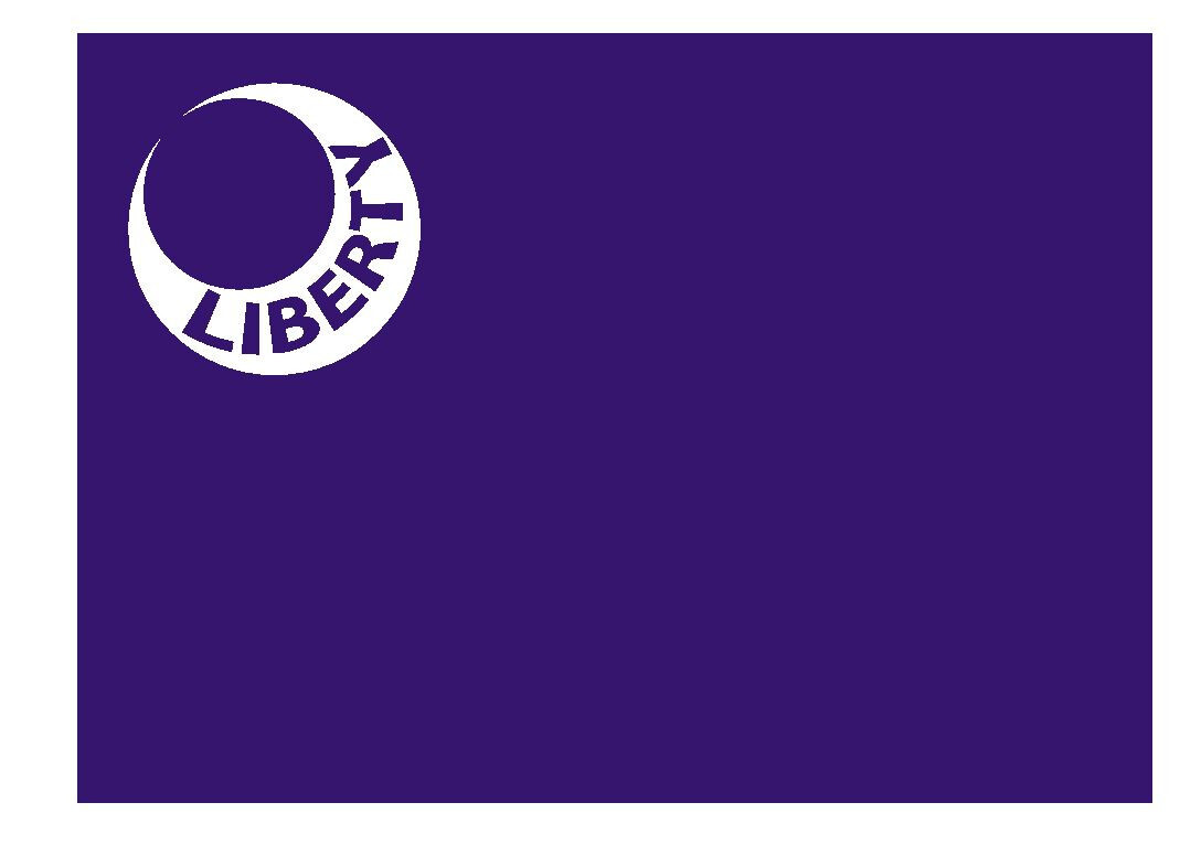 South Carolina Fort Moultrie Flag Sticker Decal F622