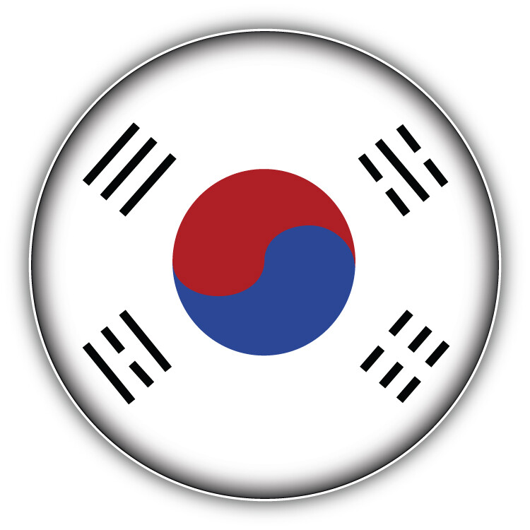 South Korea Flag Car Bumper Sticker Decal