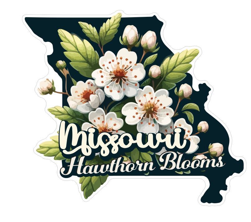 Missouri Sticker Stickers A301