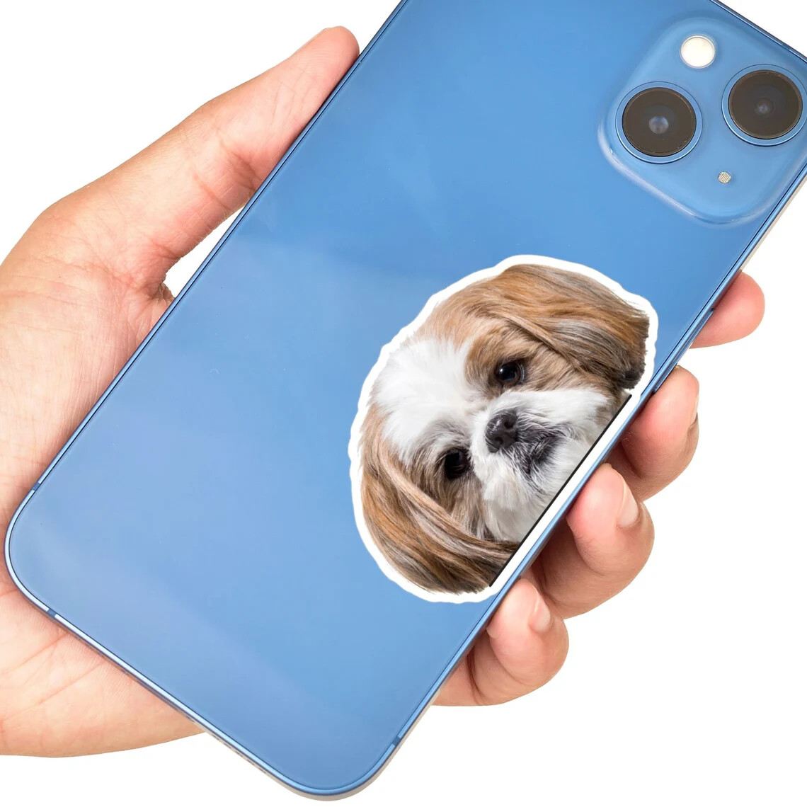 Gold&White Shih Tzu Car Sticker / Peeking Real Dog Head Vinyl Decal Waterproof