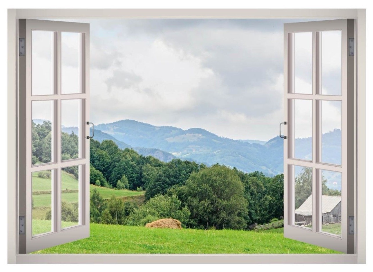 Woodland Forest View Window 3D Wall Decal Art Mural Home Decor Canvas Vinyl W147