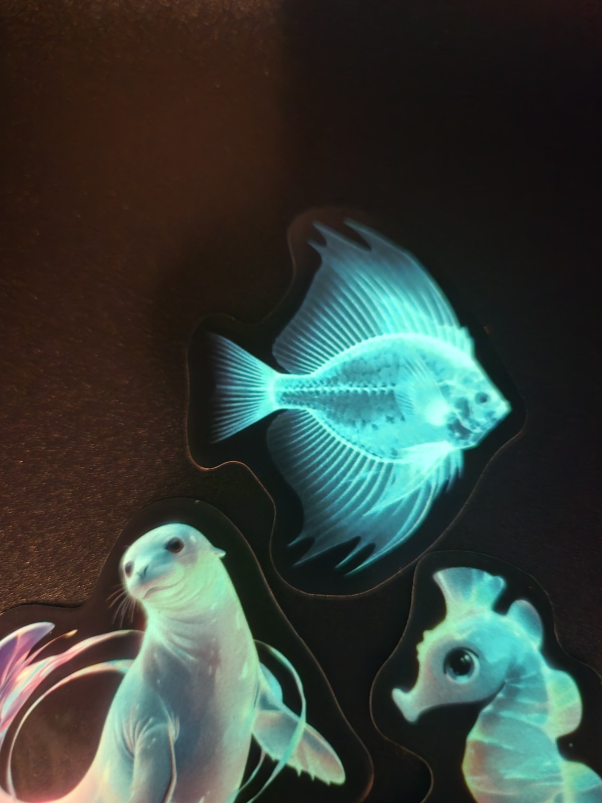 Ocean Themed Glow In The Dark Stickers! Vinyl Waterproof – Horsea & Seal, Fish