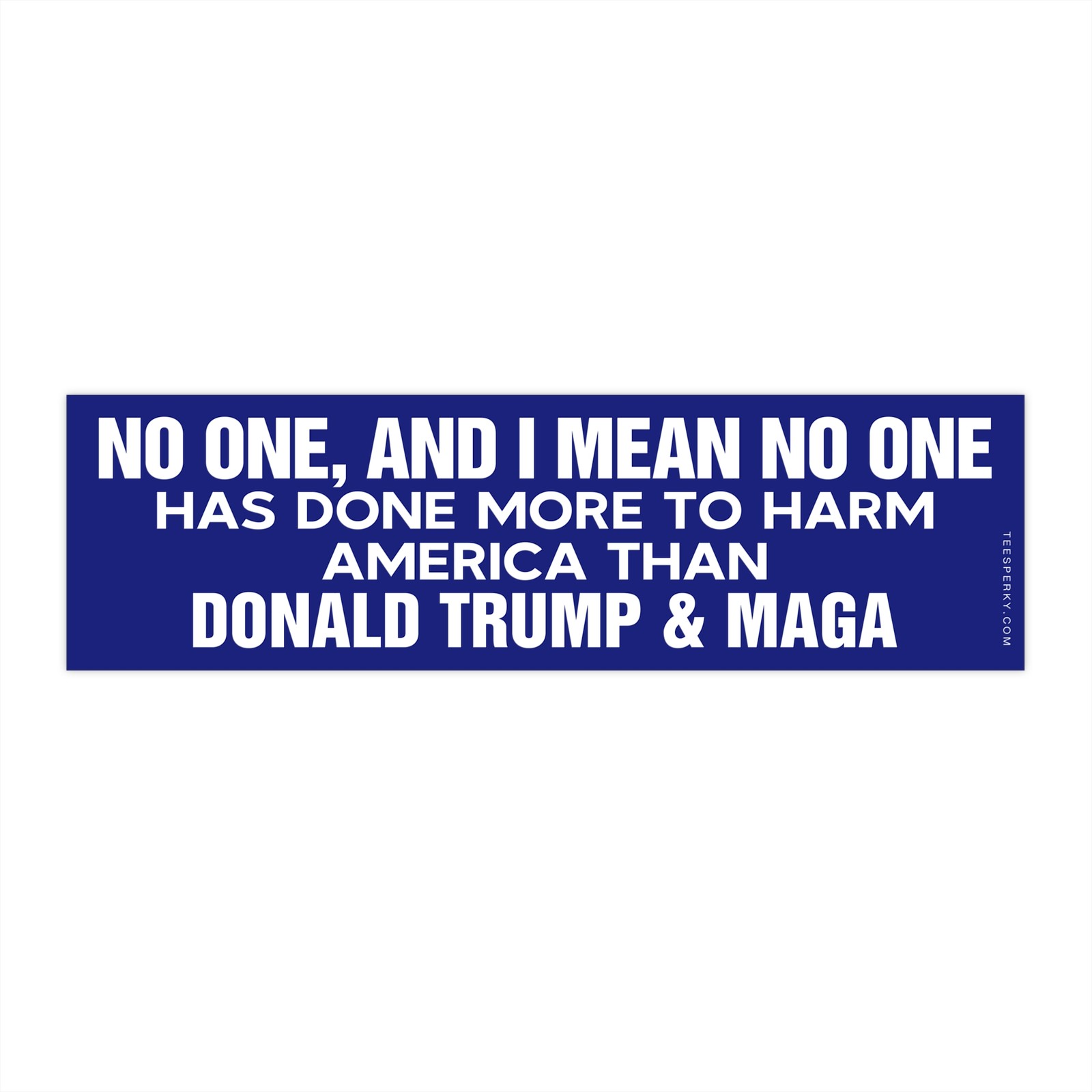 Anti-Trump & MAGA Political Bumper Sticker