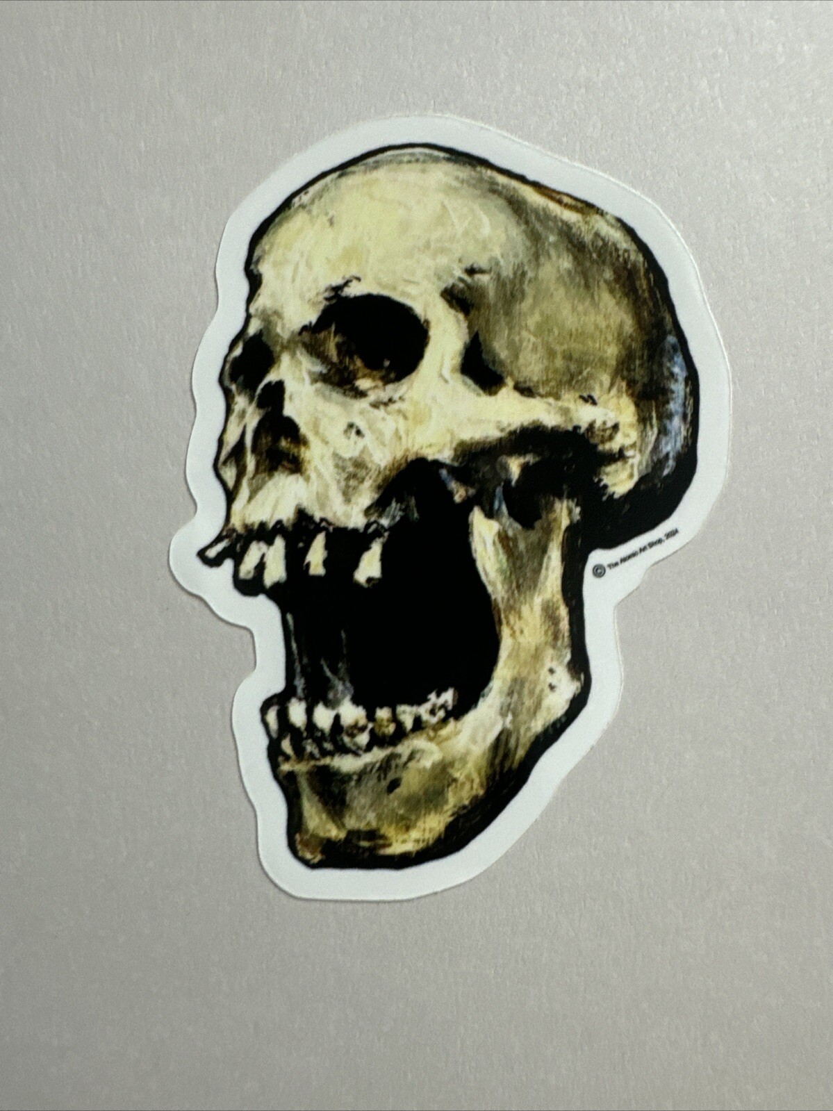 Skull Sticker!! Gloss Outdoor/indoor High Quality Thick Vinyl!