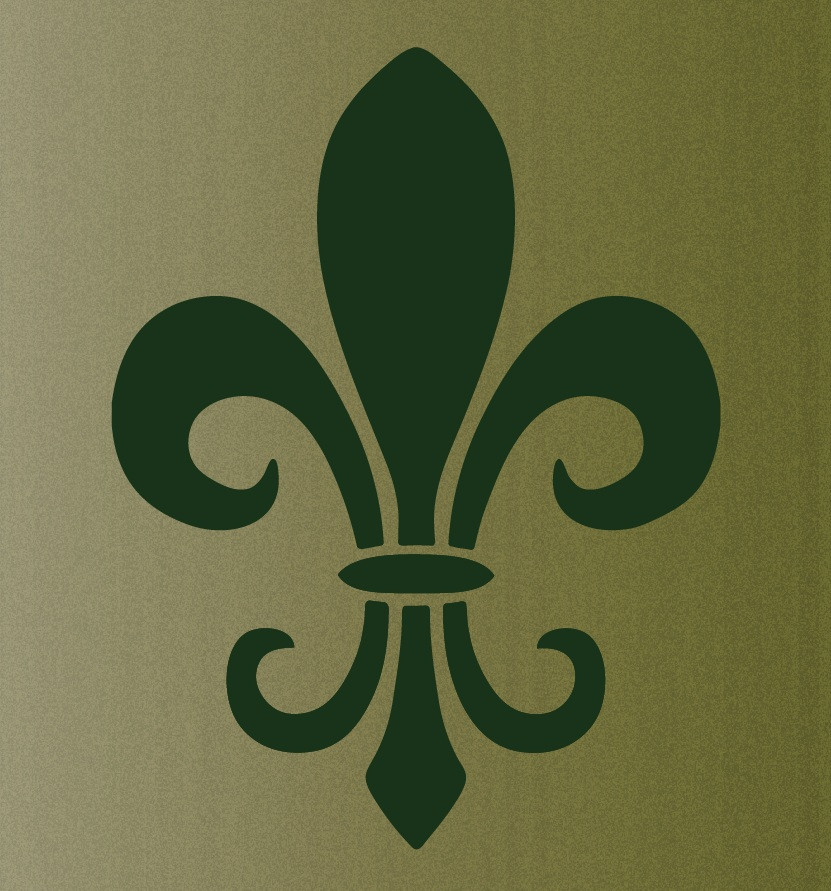 Fleur De Lis Wall Mylar Damask Stencil Pattern Decal Reusable French 0003