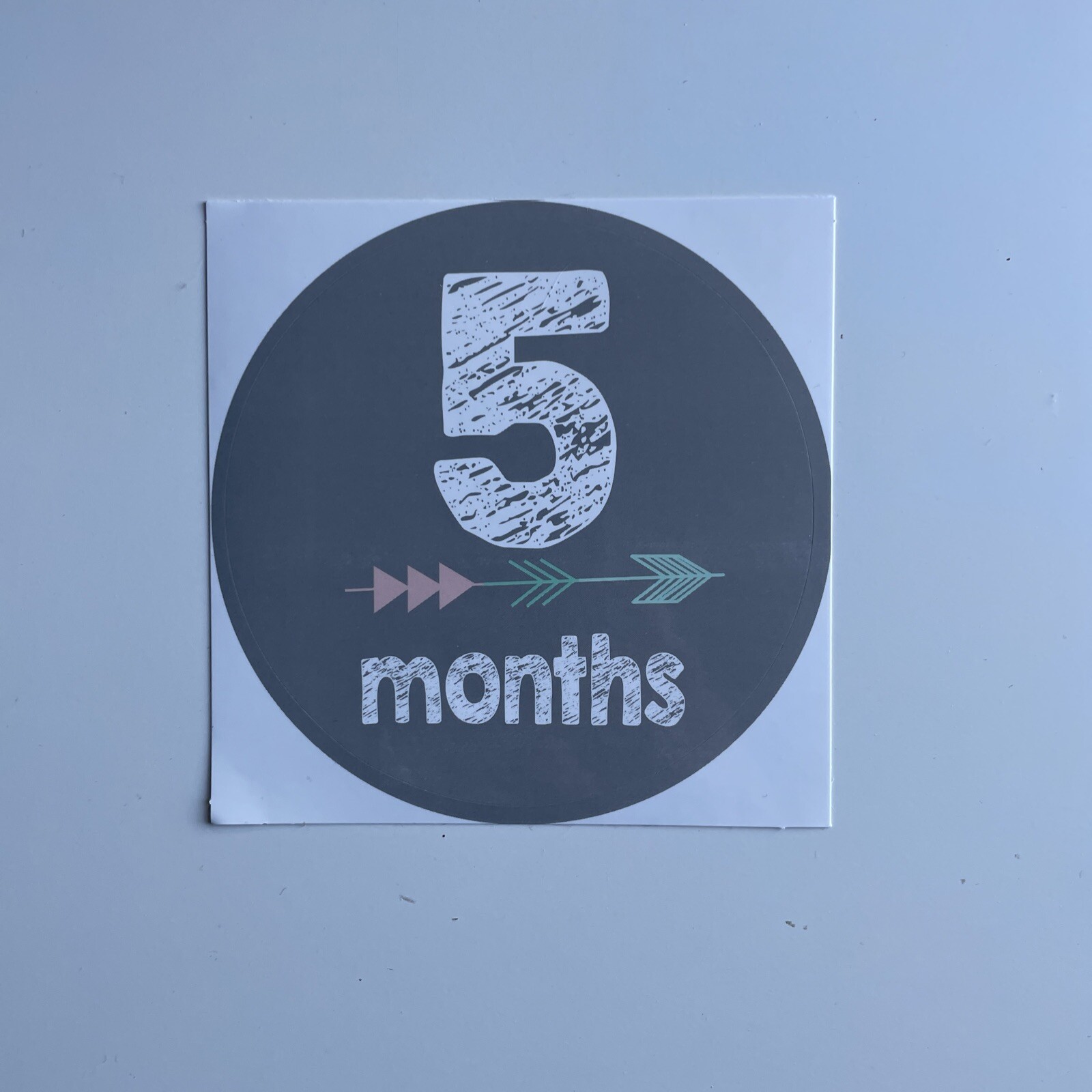 Monthly Baby Milestone Decal Stickers Set of 12 Gender Neutral Brand New