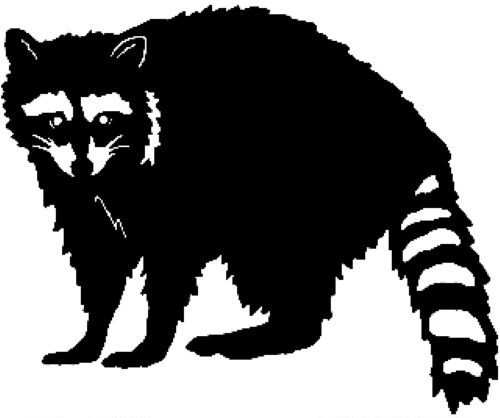Coon Decal STC18 Window Sticker for Trucks, Laptops, or Any Smooth Surface