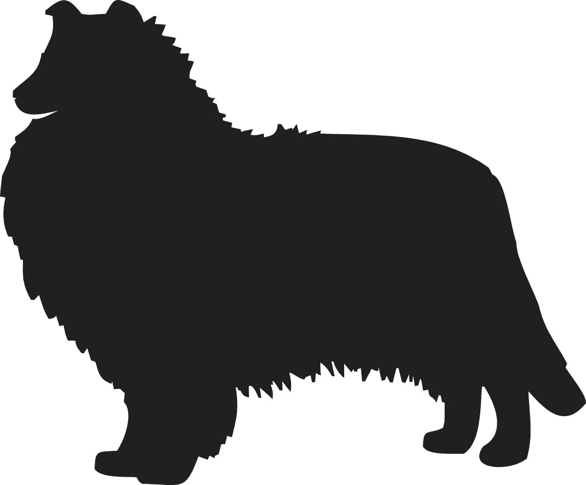 Custom Collie Silhouette Vinyl Decal – Personalized Pet Sticker – 9036