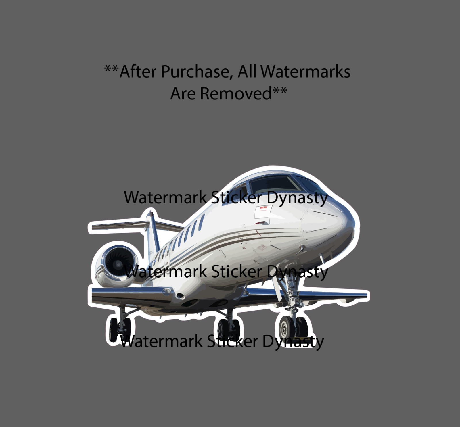 Private Jet Sticker Waterproof Decal Travel Business Work Plane Pilot Gift NEW