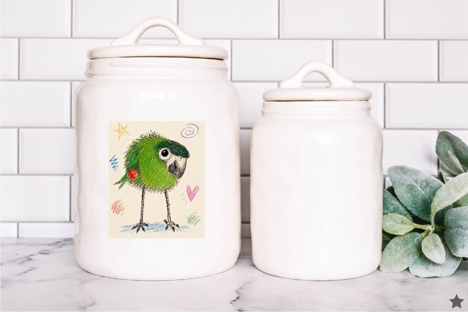 Funny Macaw Parrot Decal Sticker Hahns Greenwing Feathers Cute Bird Lady Gift