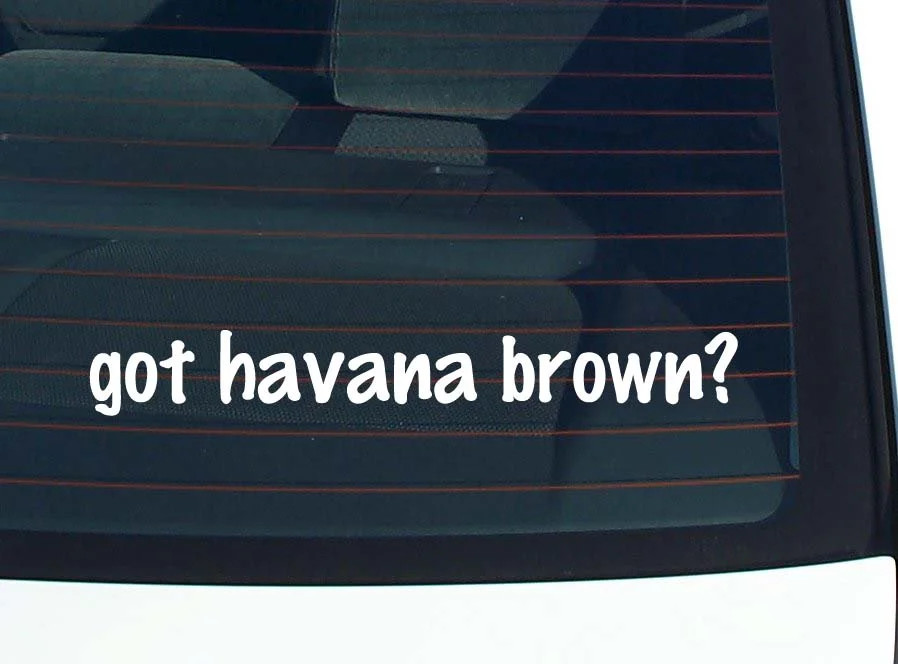 got havana brown? CAR DECAL BUMPER STICKER VINYL FUNNY JOKE WINDOW
