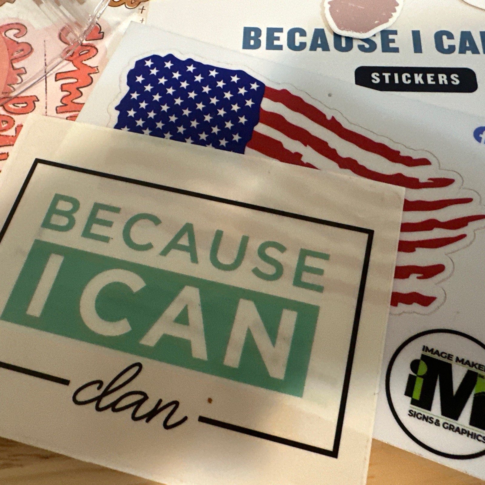 Stickers, Tracker, Pins, Next Level, Alison J Prince Because I Can Life$200Value