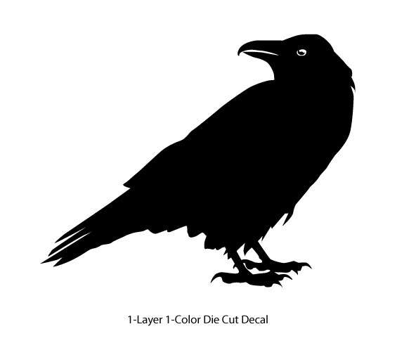 Wildlife – Birds – Staring Raven/Crow/Corvid – 6Yrs Outdoor Vinyl DieCut Sticker