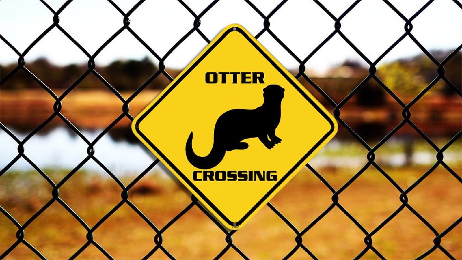 Otter Crossing Warning Sign Otter Animal Caution Yellow Wall Art Decorative D…