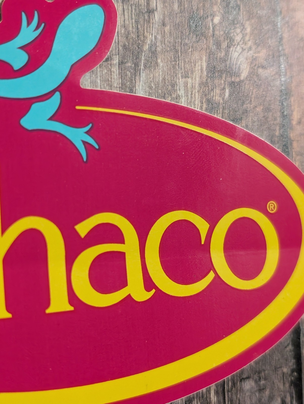 Chaco Lizard Logo Sticker – Pink Yellow Teal – Outdoor Footwear Sandals Gear