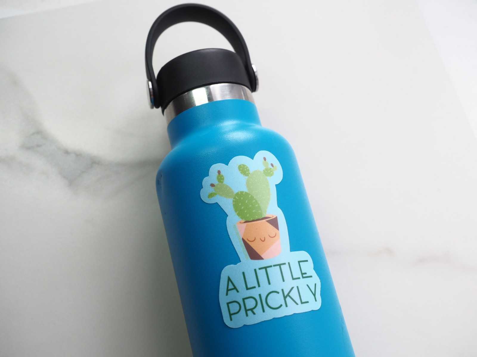 A Little Prickly Cactus Sticker – Funny Plant Decal for Laptop & Water Bottle
