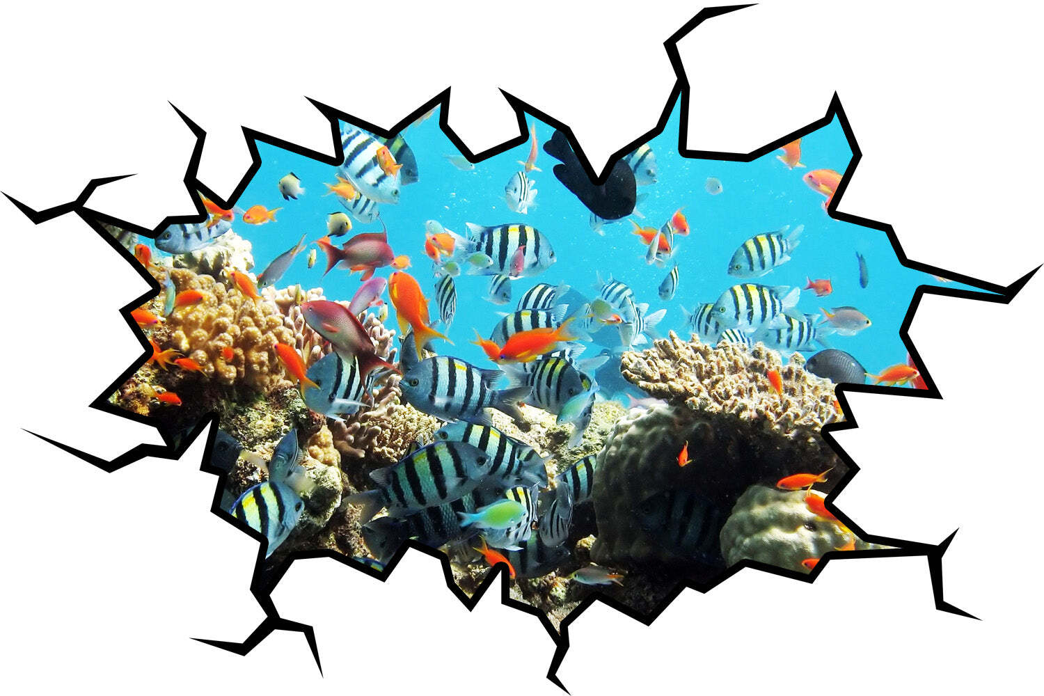 School Of Fish Crack in the Wall Peel & Stick Removable Decal Coral Reef VWAQ –