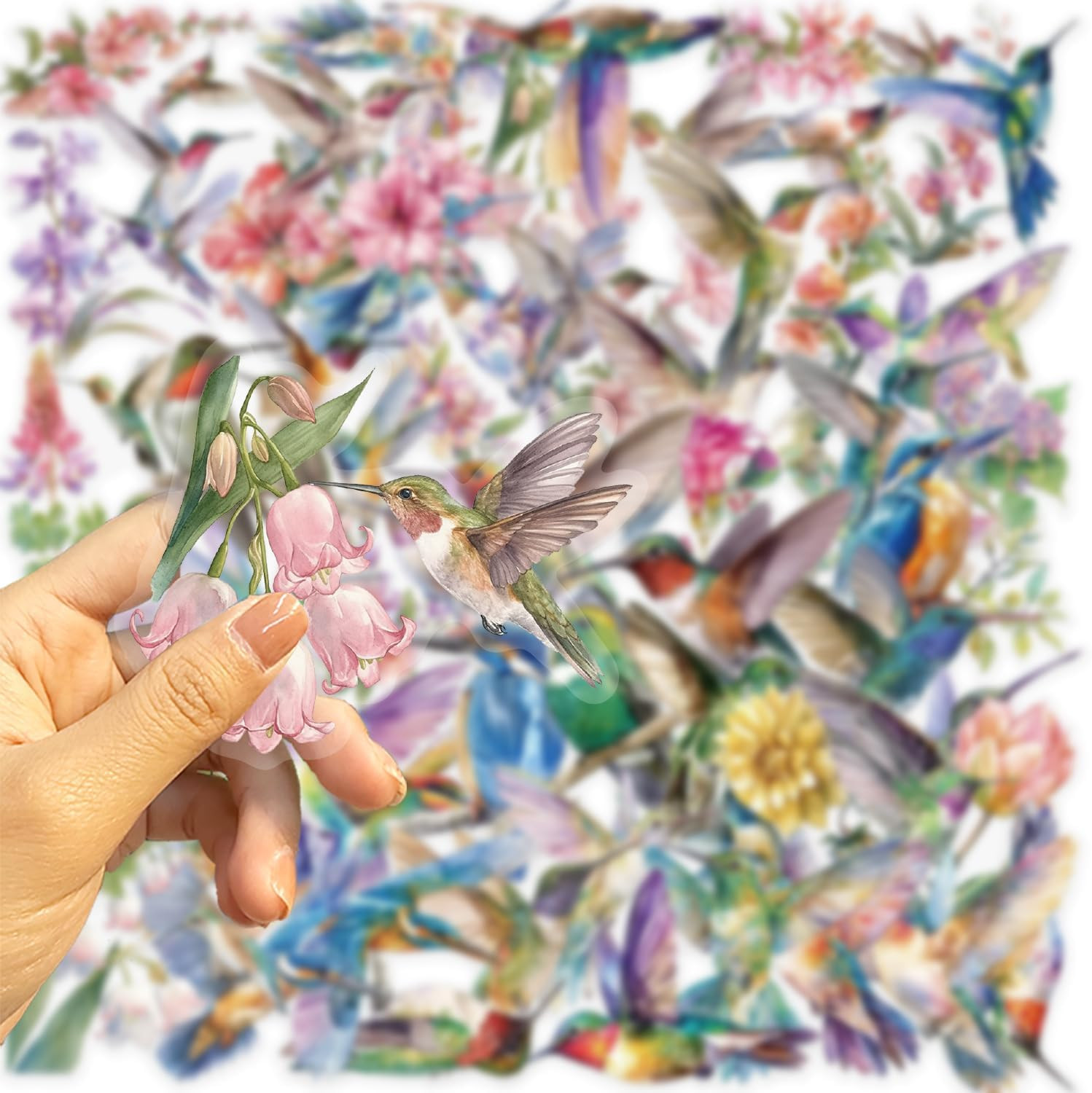 50PCS Hummingbird Stickers PET Transparent Stickers Nature Decals Waterproof Dec
