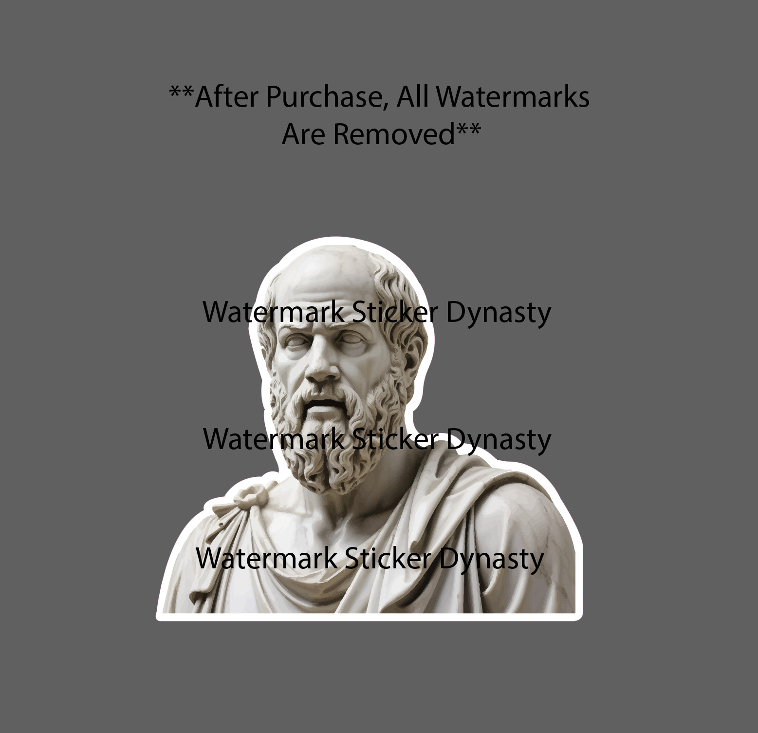 Socrates Sticker Waterproof Decal Greek Philosopher Marble Statue Gift NEW