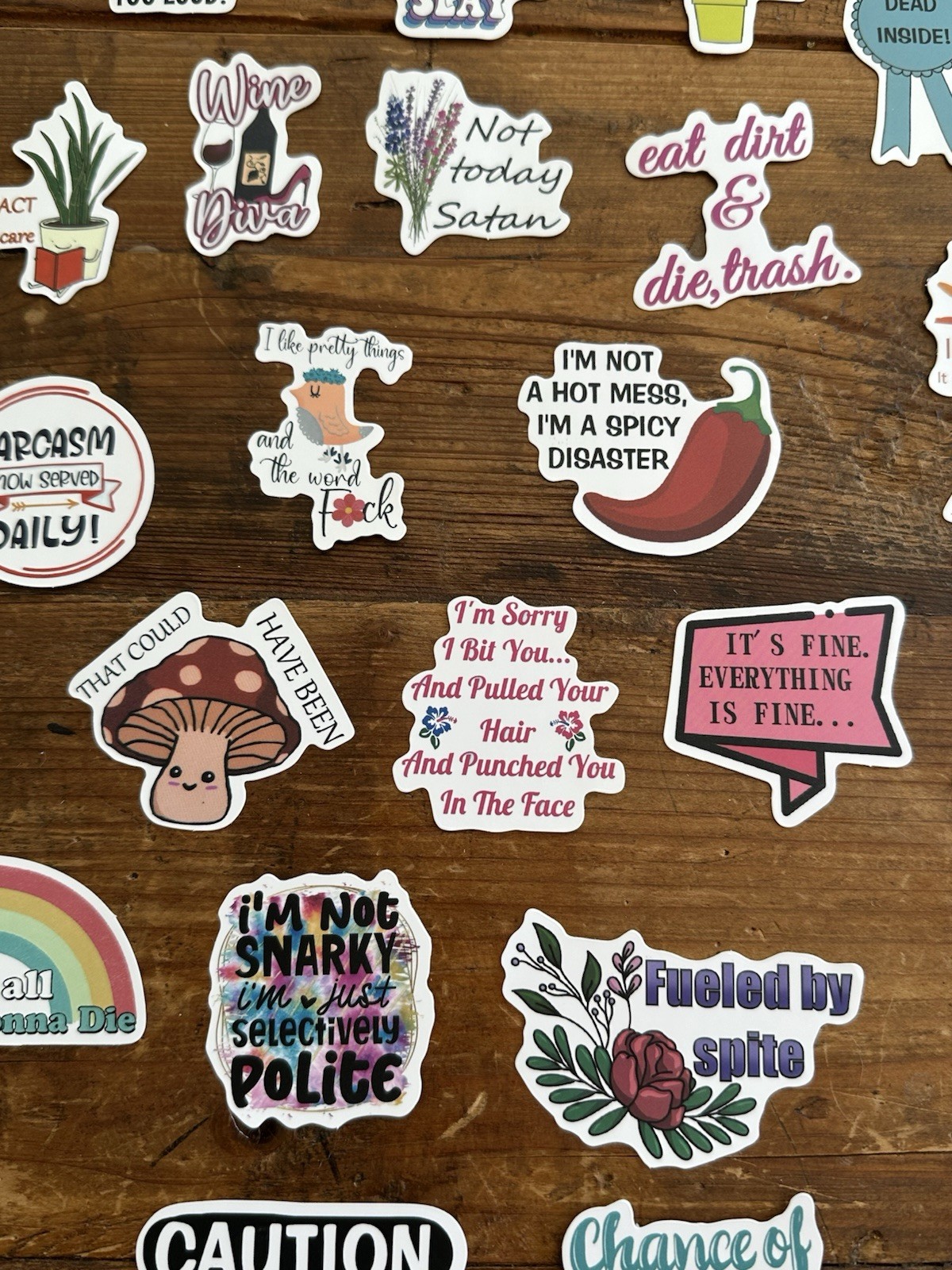 Stickers Pack of 49 Funny Sarcasm Stickers Durable Unique Laptop Bottle Thermos