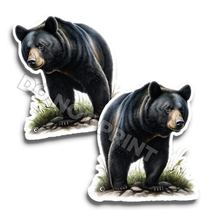 BLACK BEAR Vinyl Stickers NATURE Great Outdoors ANIMAL DECALS C35003 2 Pack