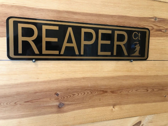Custom Steel 6"X24" Street Sign with Icon, Your Choice Background