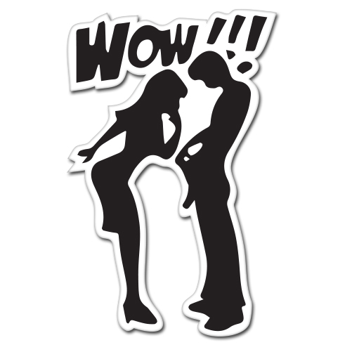 WOW Looking Down Pants Funny Rude Adult car bumper sticker decal 6" x 4"