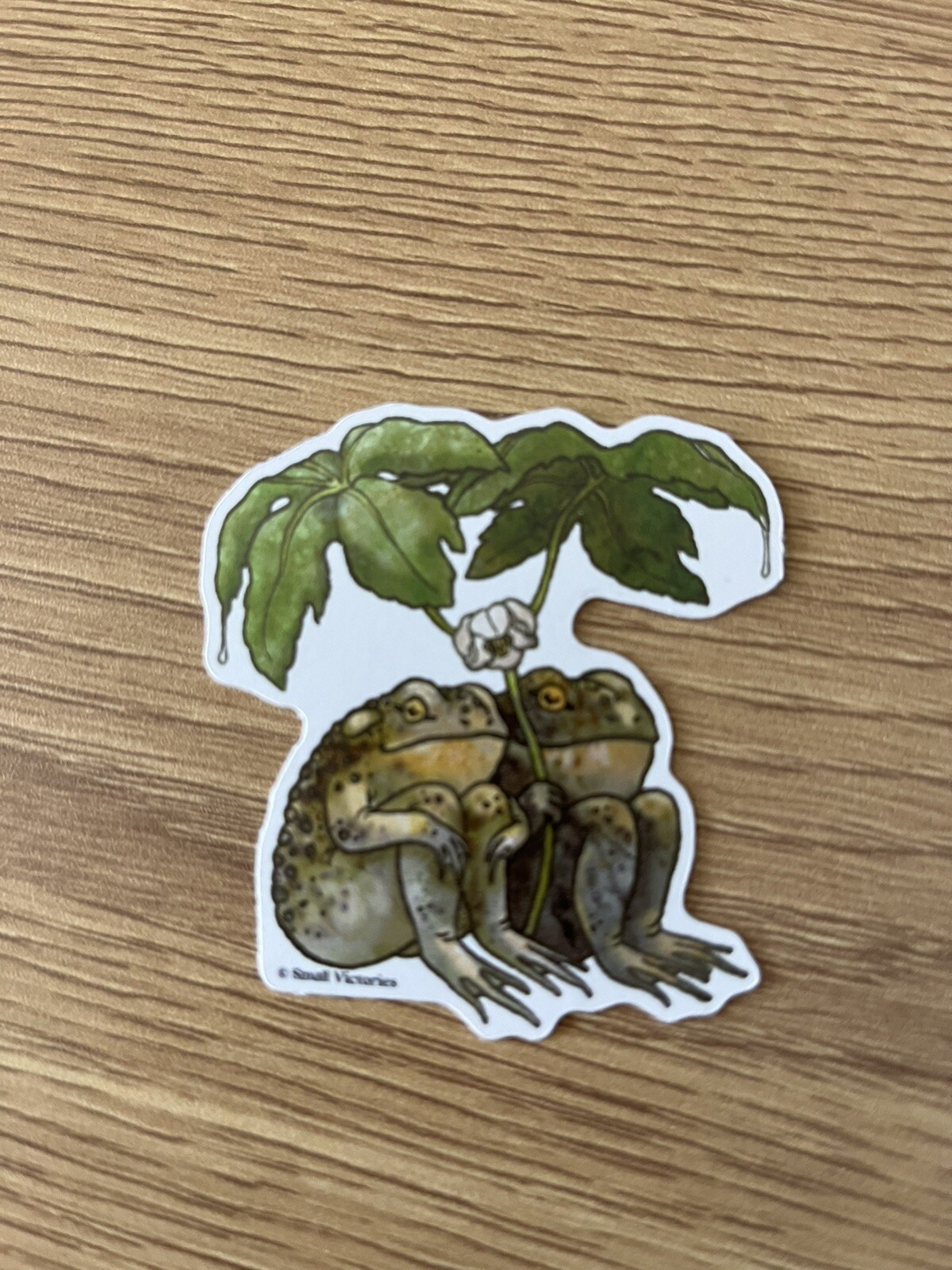 Cute Frogs Sticker, Nature Sticker