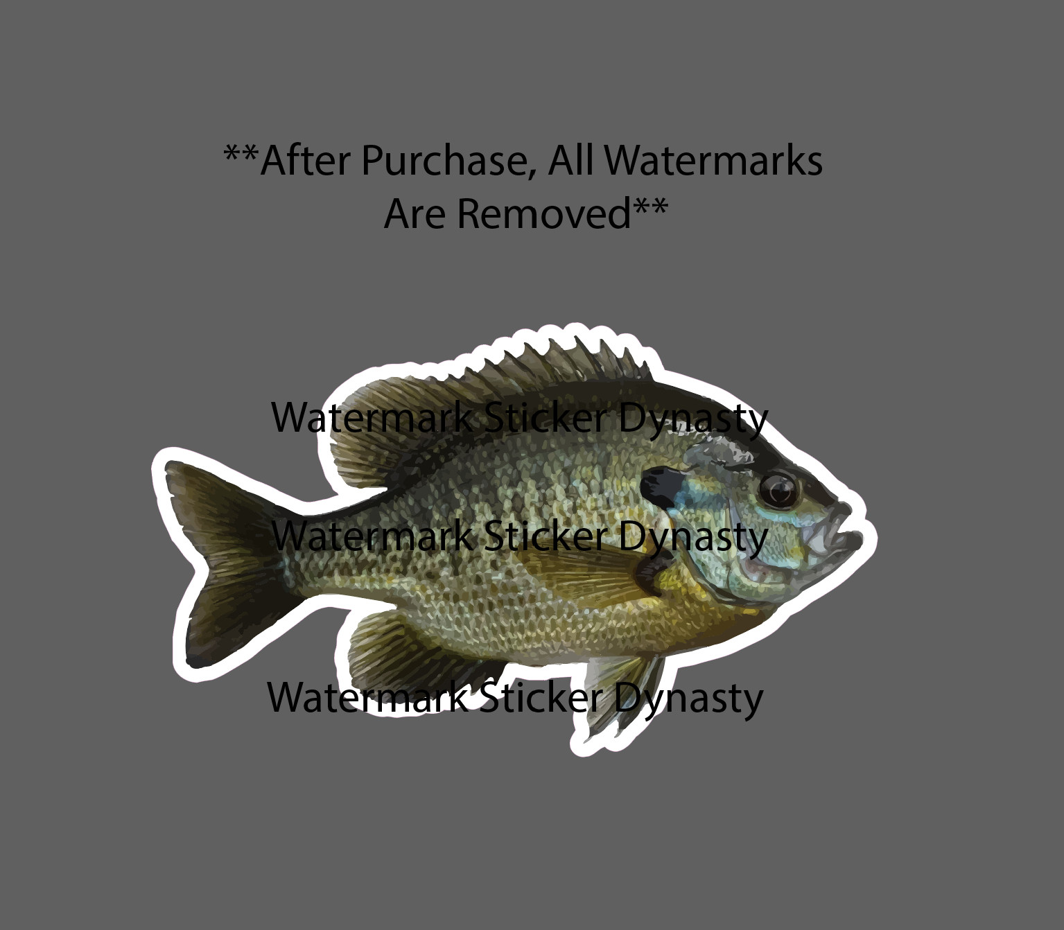 Bluegill Sticker Waterproof Decal Animal Fish Fishing Outdoor Wildlife Gift NEW