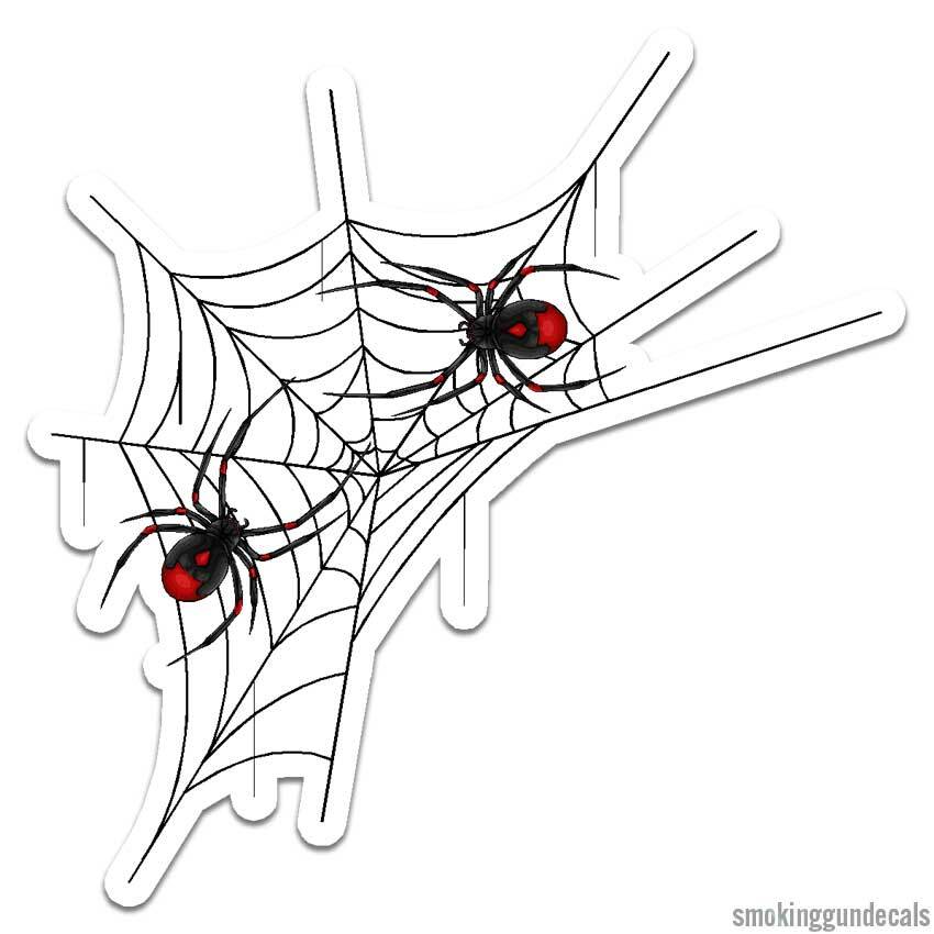 Spider Web, Vinyl Decal Sticker, Indoor Outdoor, 3 Sizes, #12614
