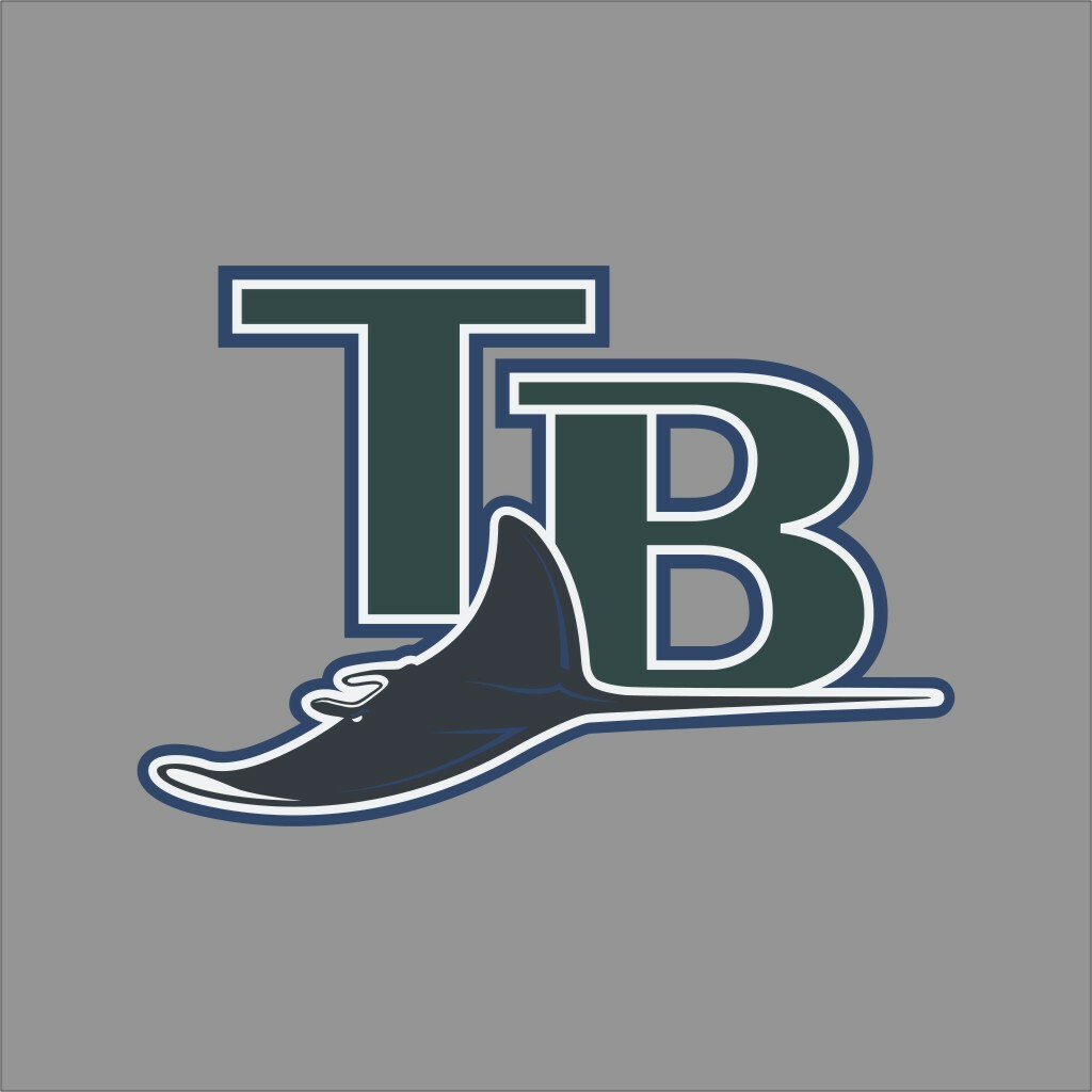 Tampa Bay Rays #5 MLB Team Pro Sports Vinyl Sticker Decal Car Window Wall