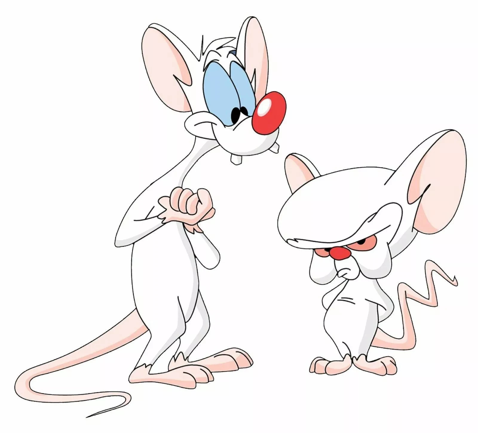 PINKY AND THE BRAIN CARTOON DECAL STICKER 3M USA MADE TRUCK VEHICLE WINDOW WALL