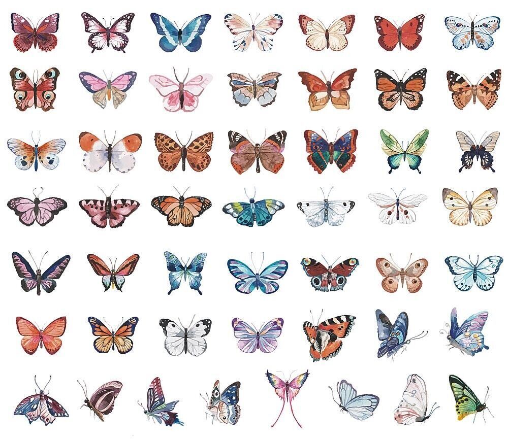 BUTTERFLY Vinyl WATERCOLOR Stickers [A] Butterflies ~ Water Bottle Laptop DECALS