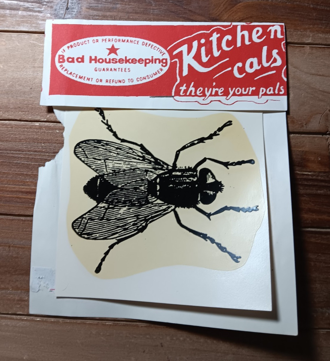 Bad Housekeeping Kitchen Cals Big Creepy House Fly Decal Halloween 3.5"