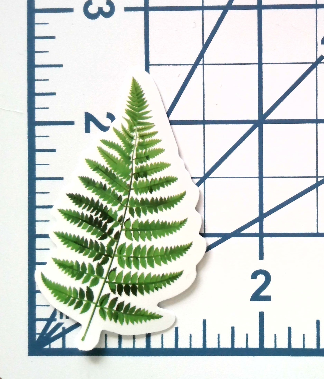 Fern Frond Vinyl Sticker Die Cut Nature Leaf Botanical Journal Scrapbook