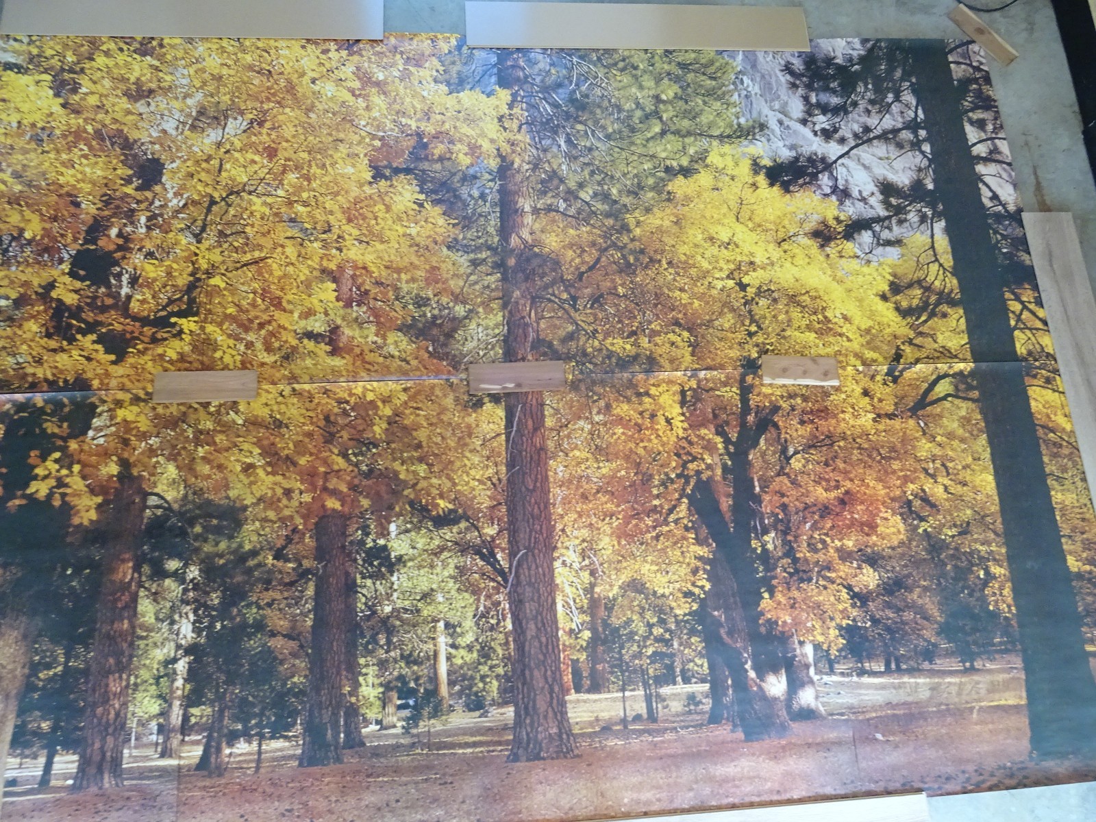 Full Wall Photo Mural Autumn Yosemite National Park Josef Muench 8’ 8” x 12’ 6”