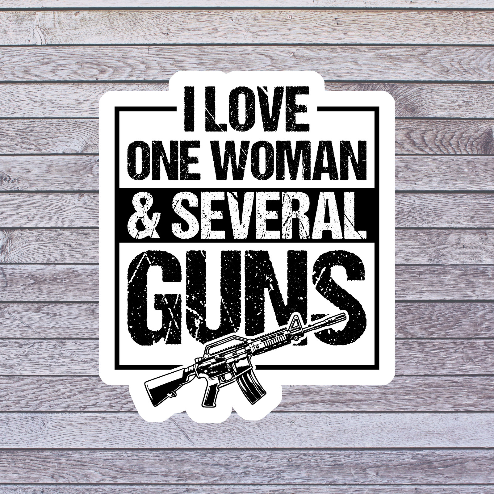 Gun Humor sticker vinyl decal i love one woman and several guns funny firearm