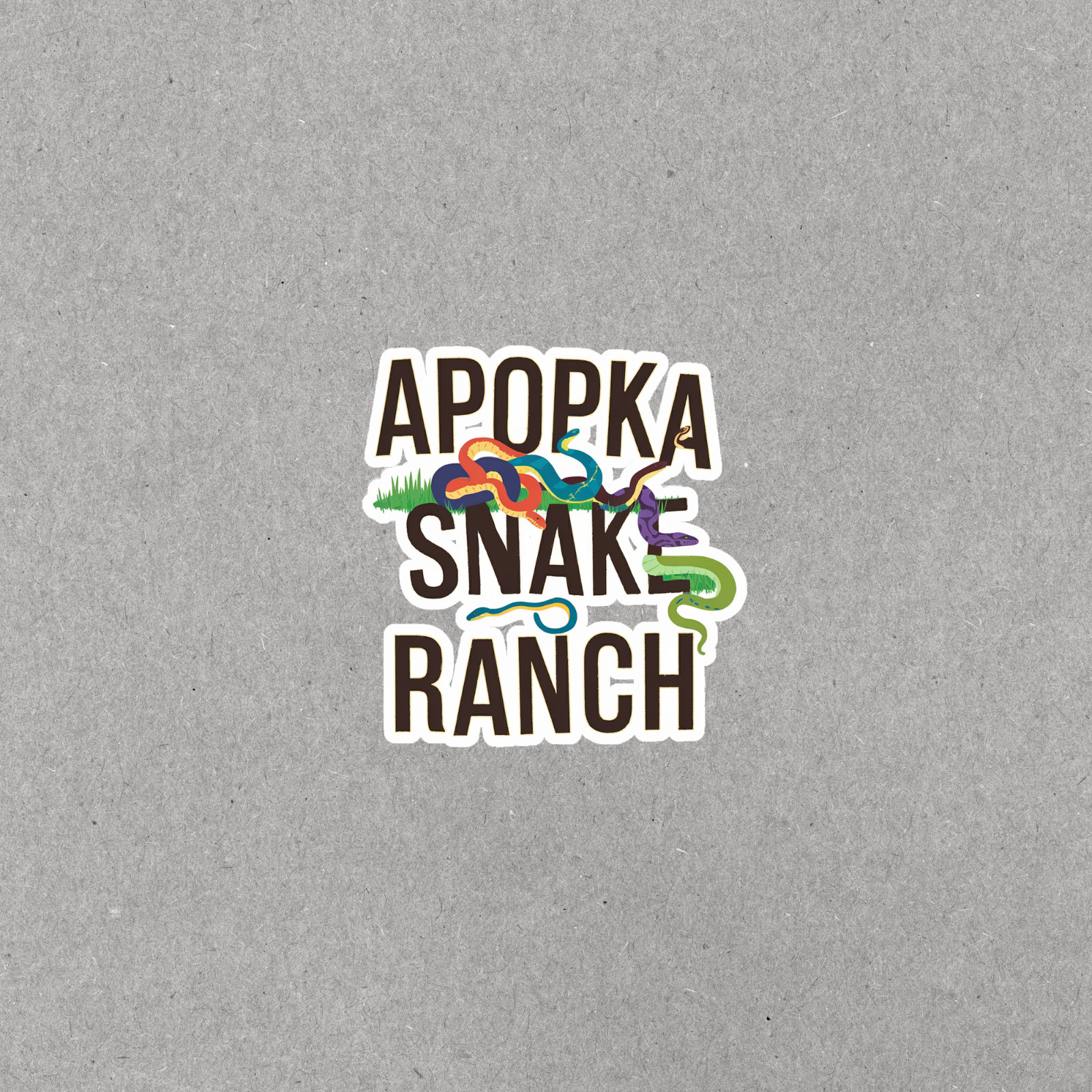 Apopka Snake Ranch Retro Sticker – Colorful 70s-Inspired Reptile Design #4038