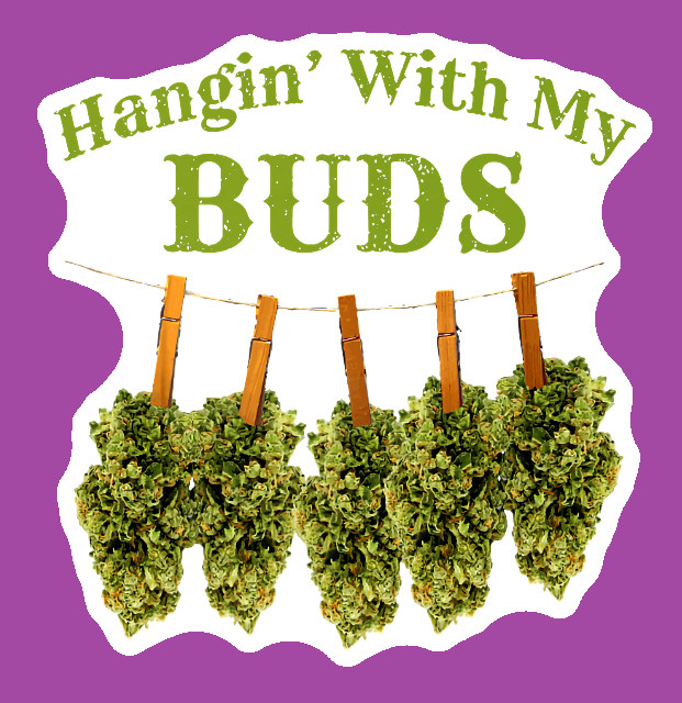 Hanging with My Buds Vinyl Sticker Weatherproof UV Safe Cannabis Decal Weed 420