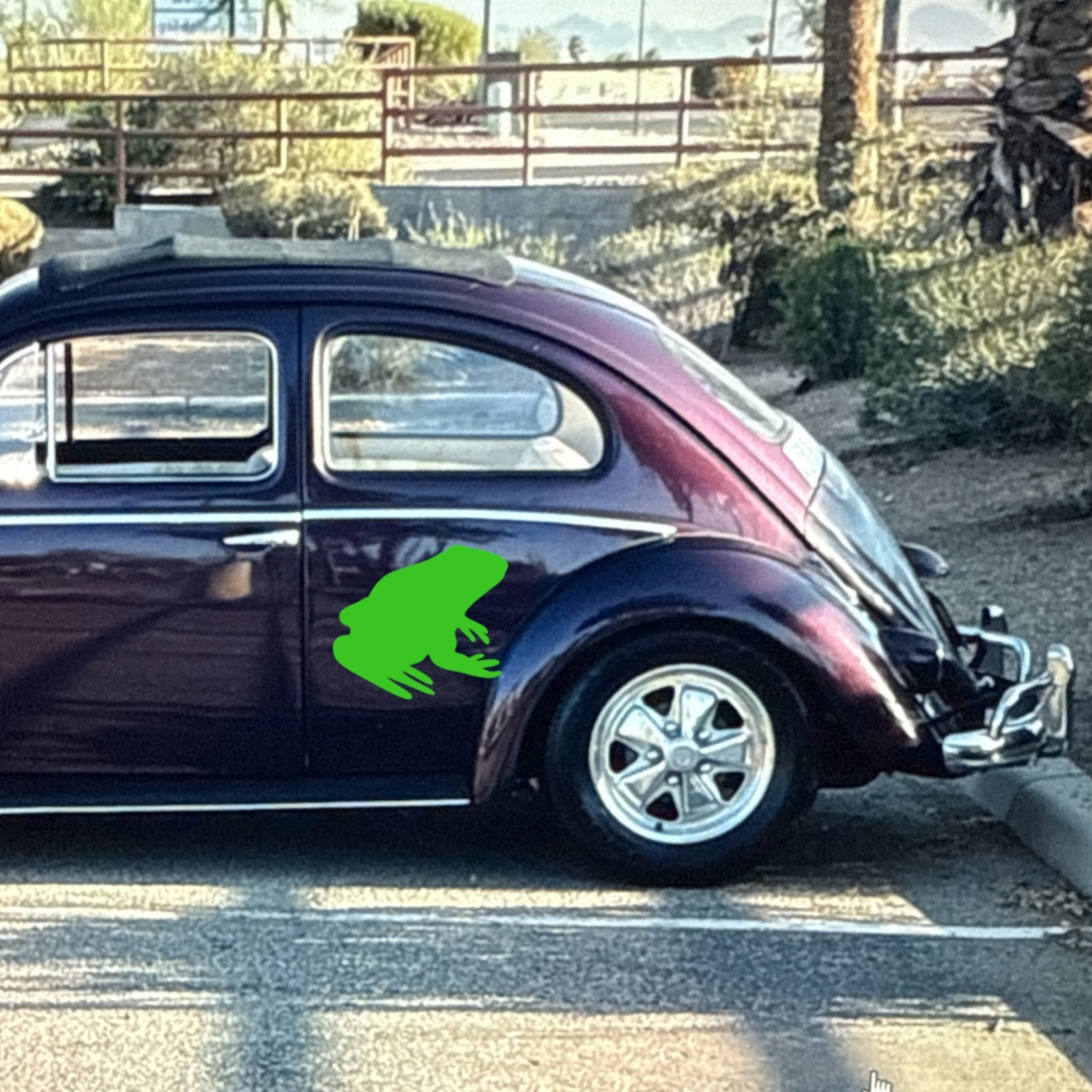 Frog Decal for car Windows Laptops most Smooth Surfaces