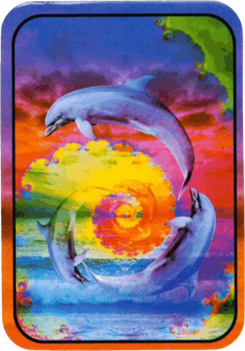 Dolphins – Sticker – 2 1/2" X 3 3/4"
